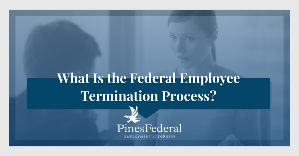 What is the federal employee removal process
