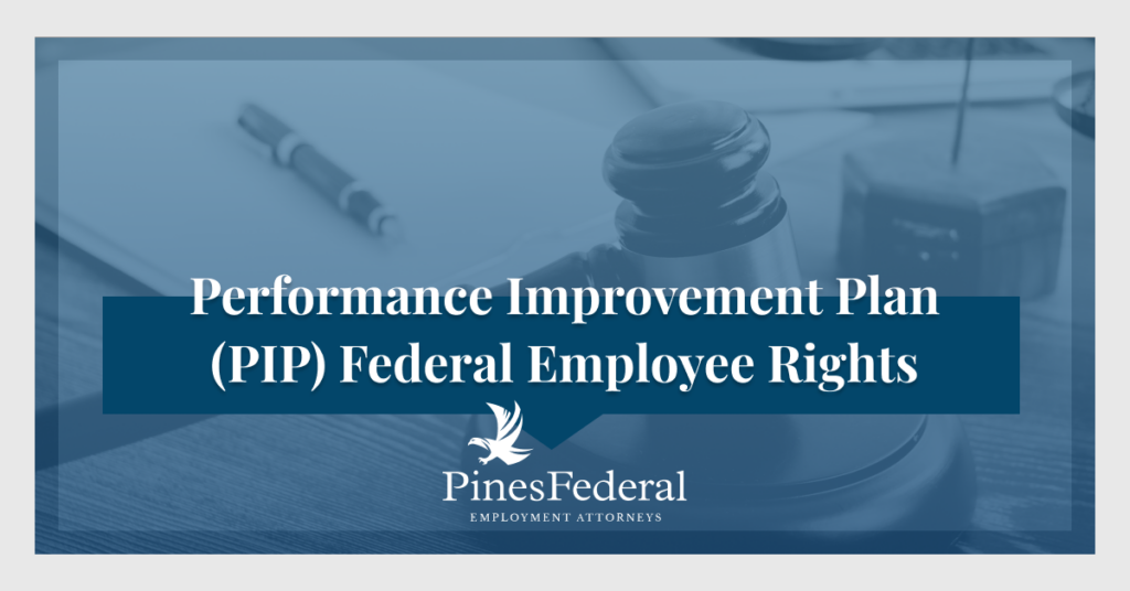 Performance improvement plan federal employee rights